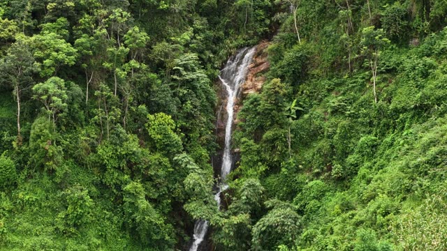 Slender Waterfall Through Jungle Ravine