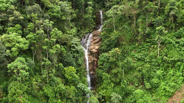 Waterfall Descending Through Green Forest