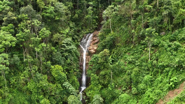 Jungle Waterfall In Deep Ravine