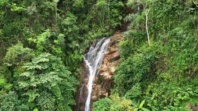 Waterfall Cascading Through Jungle