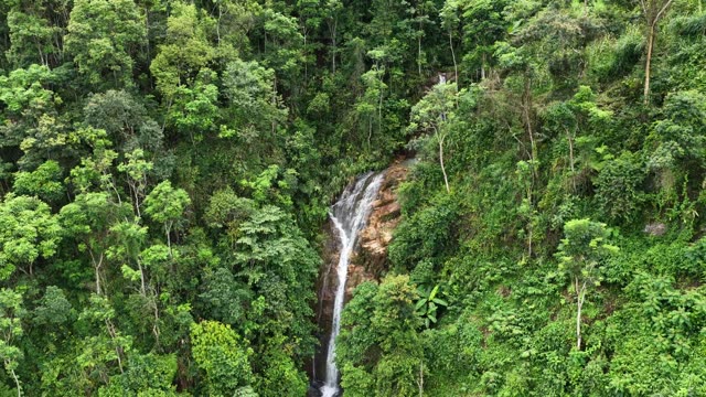 Forest Waterfall On Rocky Slope