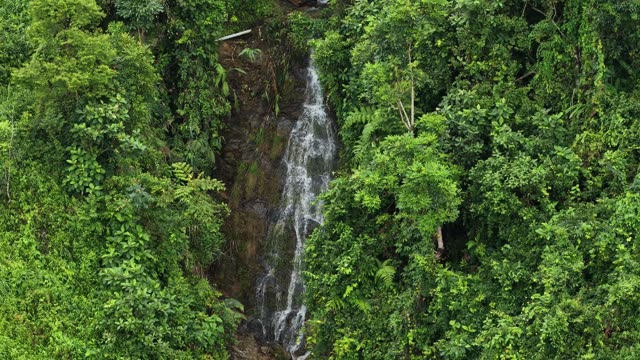 Close View Of Jungle Waterfall