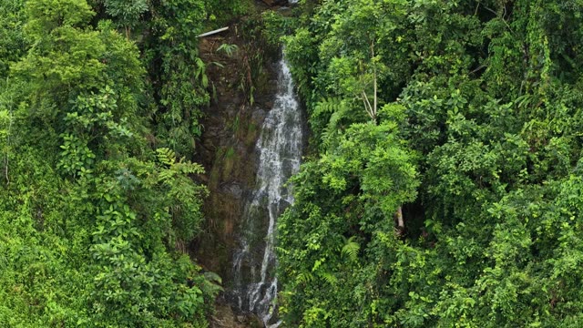 Narrow Waterfall Stream In Forest