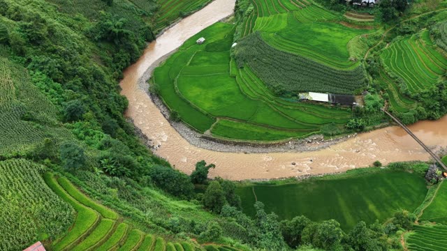 Muddy River Bending By Terraces