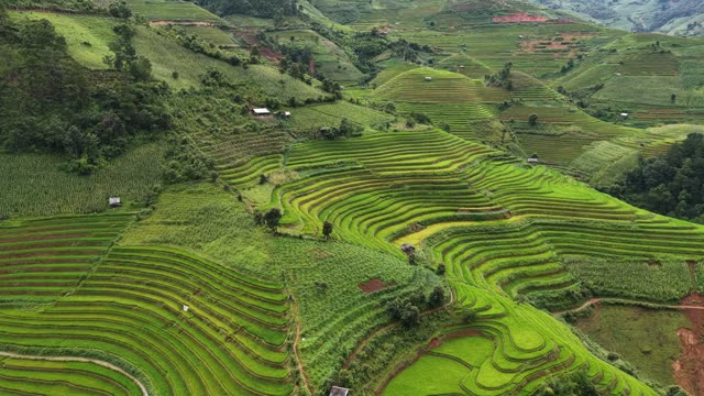 Wide Mountain Terrace Landscape