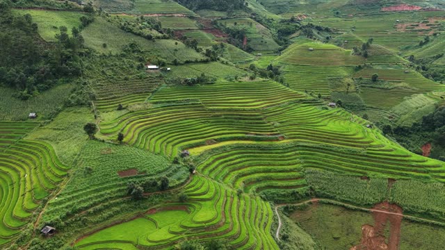 Terraced Hills With Scattered Farmland