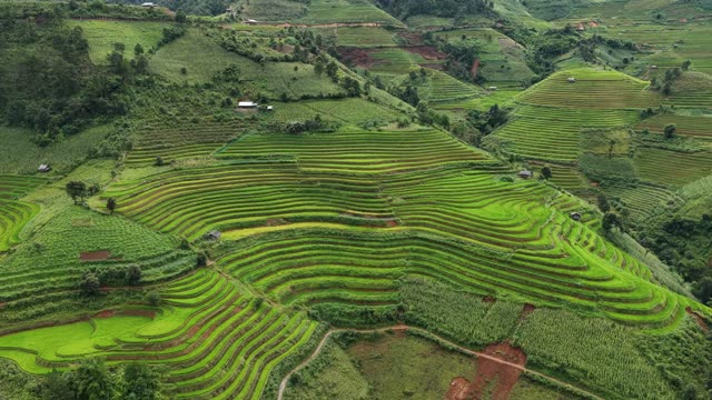 Green Valley Terraces Under Hazy Sky