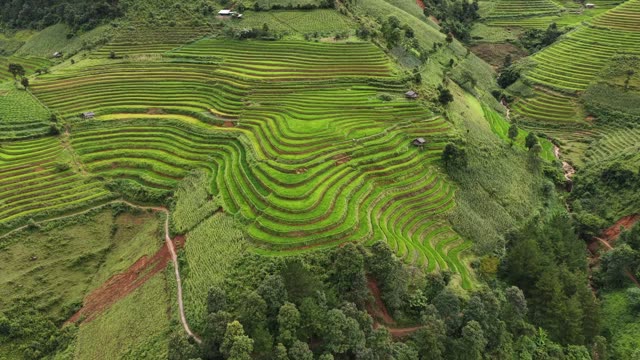 Sweeping Terraces With Farmhouses