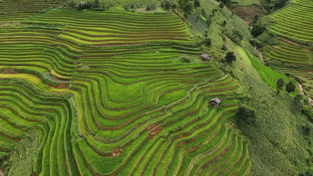 Terrace Ridges Beside Farmland
