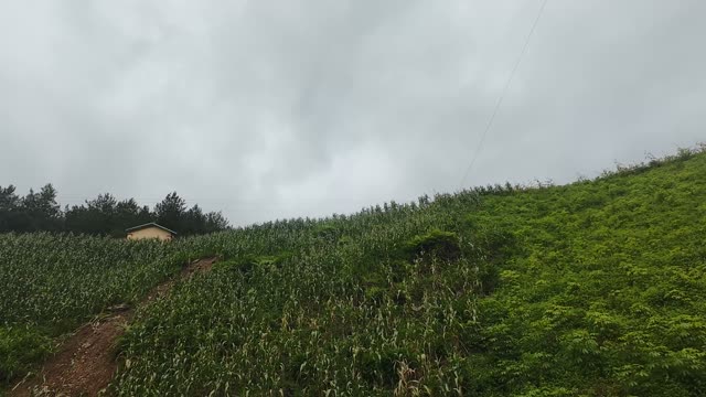 FPV Climbing Above Corn Terrace Ridge