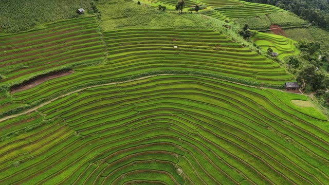 Terraced Bowl With Hillside Hut