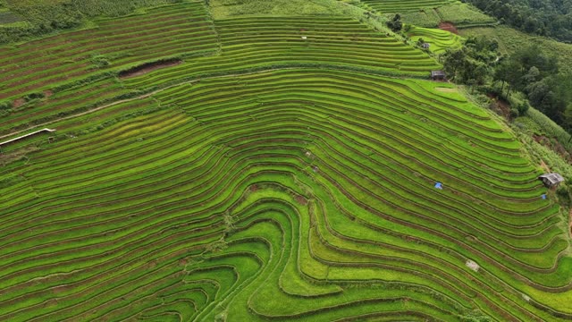 Sweeping Terraces With Farmhouse