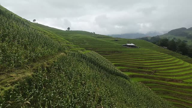 FPV Skimming Deep Terrace Bowl
