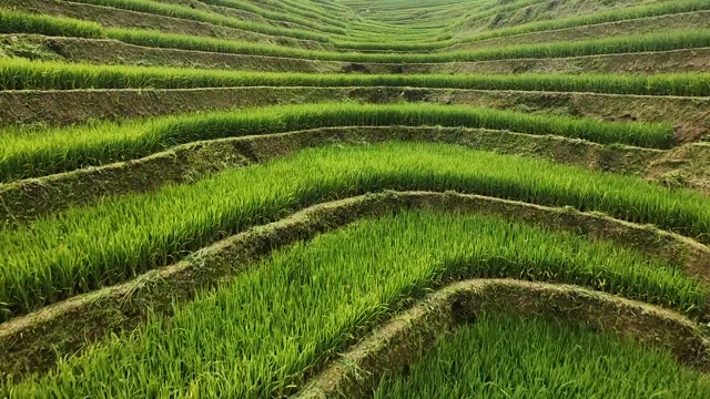 FPV Racing Through Layered Terraces