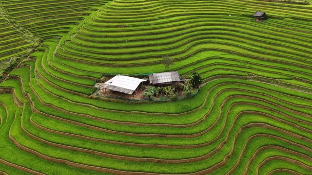 Farmhouse Amid Curving Terraces