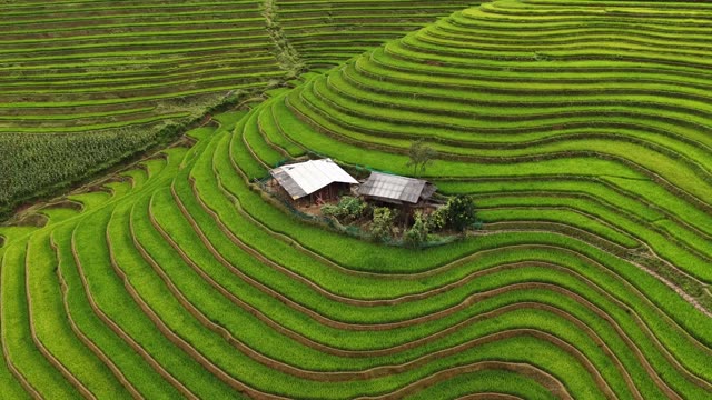 Terraces Curving Beside Small House