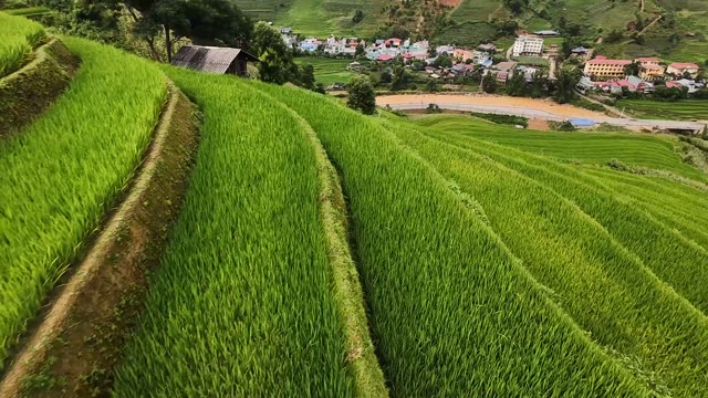 FPV Flying Toward Village Terraces