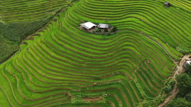 Layered Terraces Beside Hut