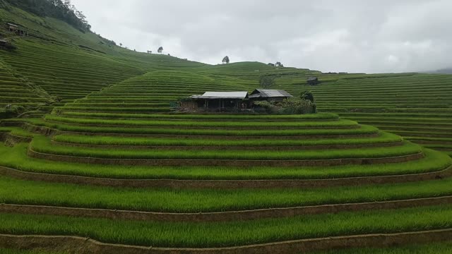 FPV Skimming Terrace Toward Village