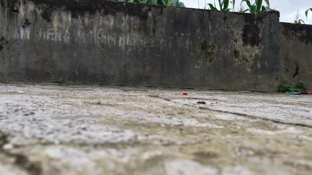 Parked Car On Roadside Lot
