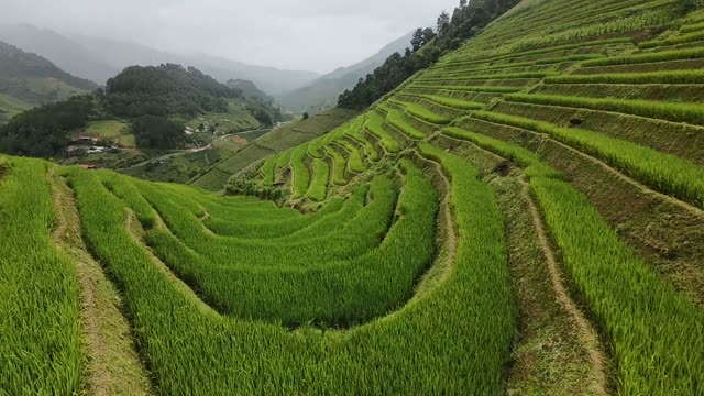 FPV Flying Toward Terrace Farmhouse