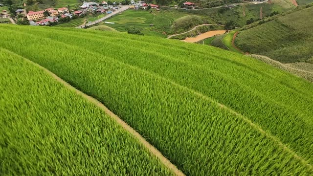 FPV Skimming Terrace Valley Toward Mountains
