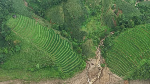 Twin Terrace Slopes By Stream