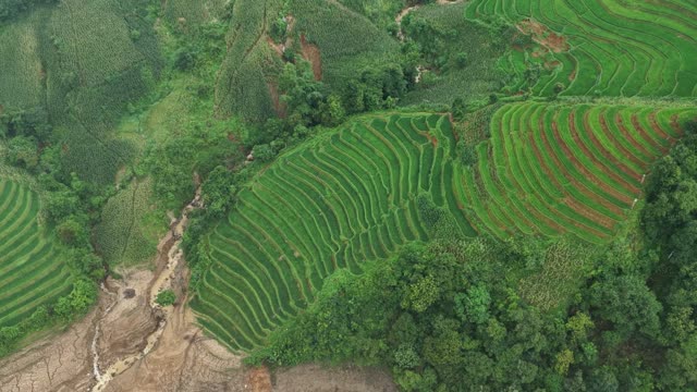 Layered Terraces With Red Soil Patches