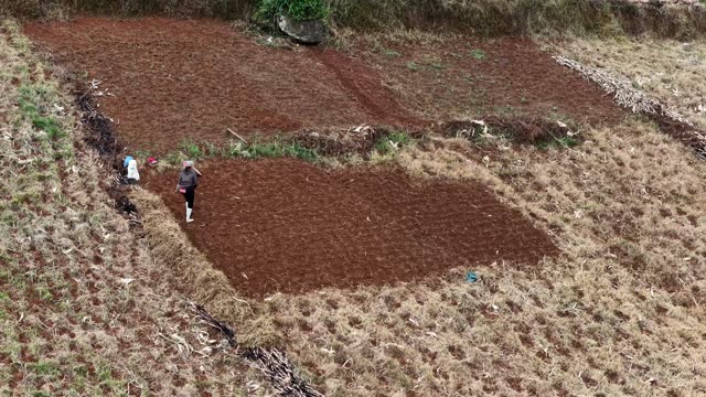Farmer Working Terraced Plot