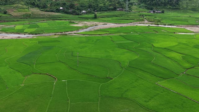 Village Homes Beside Green Rice Fields