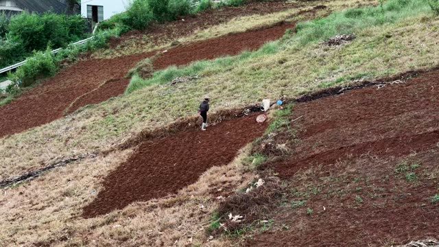 Farmer Tilling Hillside Soil Patches