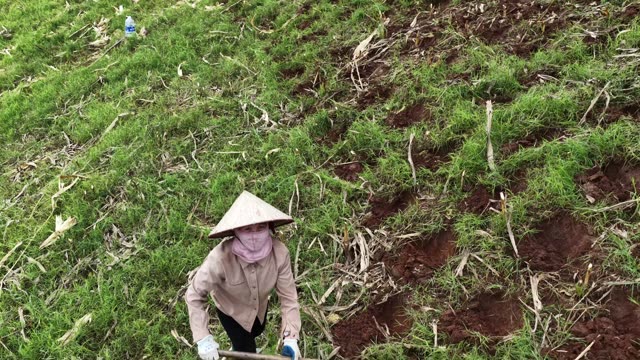 Farmer With Conical Hat Tilling Soil