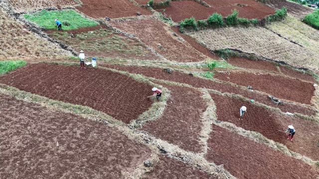 Farmers Working Terraced Red Soil