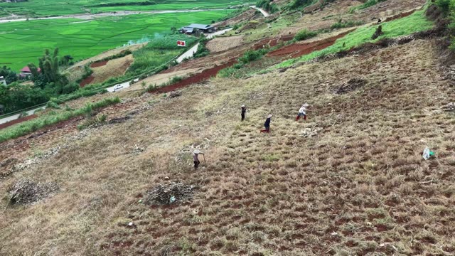 Farmers Working Sloped Farmland