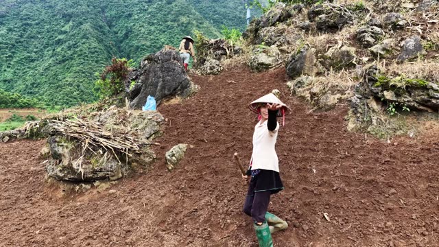 Karst Peak Overlooking Terraced Fields