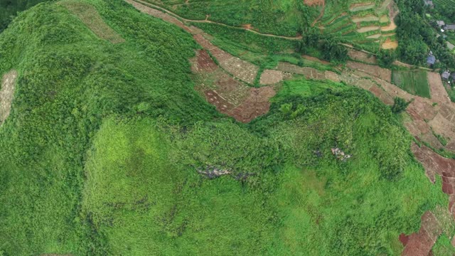 Farmers Tilling Mountain Terrace Plot
