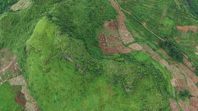 Cleared Field Patches On Mountainside