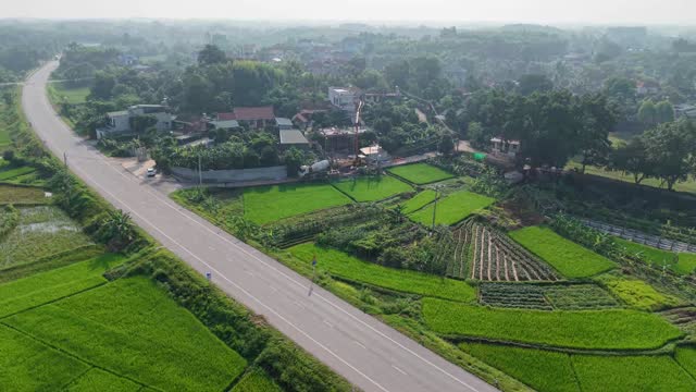 Rural Road Through Rice Paddies