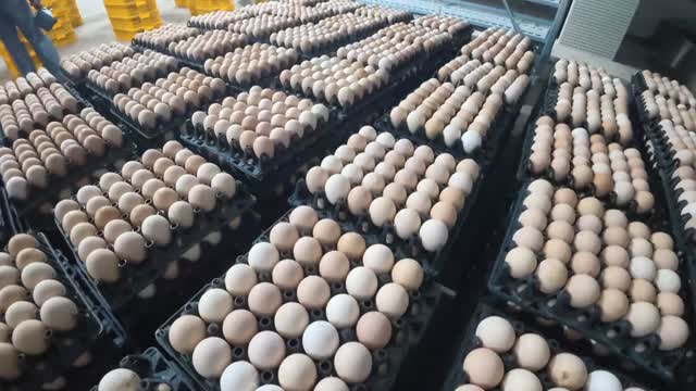 Close-Up Of Fresh Egg Trays