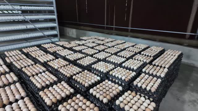 Egg Tray Storage Pallets