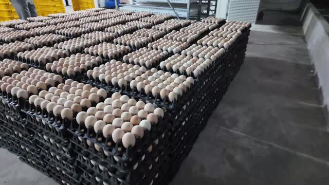Close-Up Of Stacked Egg Trays