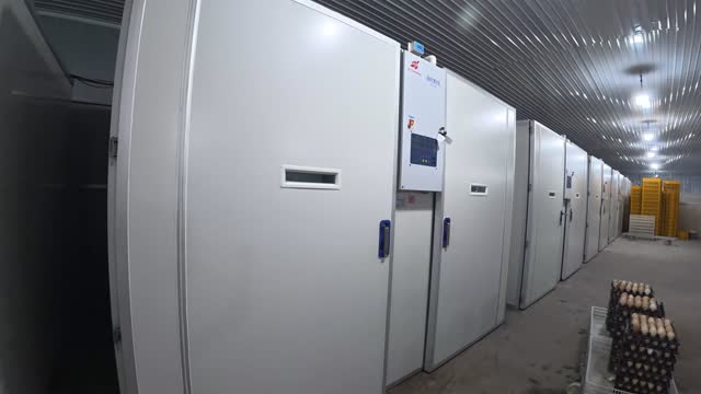 Rows Of Hatchery Incubators