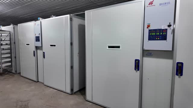 Hatchery Incubators With Controls