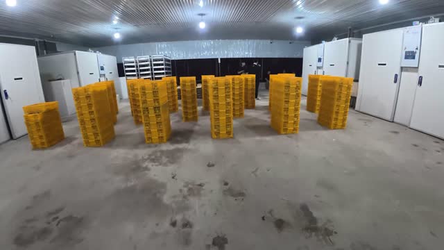 Cold Storage Warehouse Yellow Crates