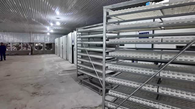 Poultry Hatchery Tray Racks