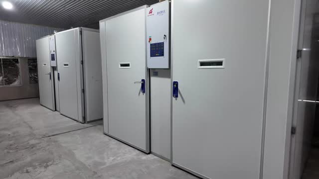 Egg Incubator Machines Row