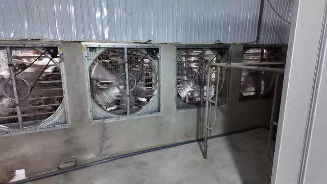 Poultry House Exhaust Fans