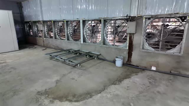 Exhaust Fans In Livestock Shed