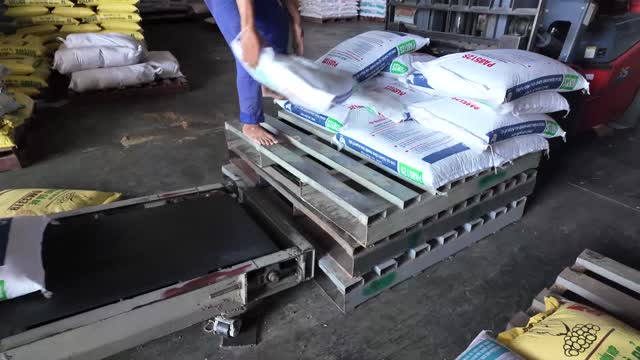 Loading Sacks Onto Pallet Scale
