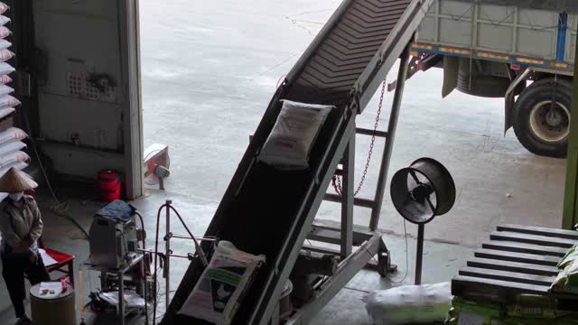 Conveyor Belt Feed Loading